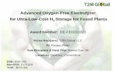 Advanced Oxygen-Free Electrolyzer for Ultra-Low-Cost H2 ...