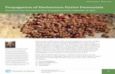 Propagation of Herbacious Native Perennials