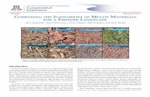 AZ1440 Revised 10/14 C ignitability of mulCh materials for ...