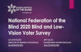 National Federation of the Blind 2020 Blind and Low ...