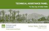 TECHNICAL ASSISTANCE PANEL