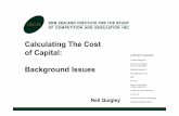 Calculating The Cost of Capital: Background Issues