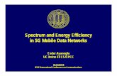 Spectrum and Energy Efficiency in 5G Mobile Data Networks