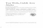 Test Wells, Gubik Area Alaska