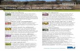 Lower Ovens local native plant lists - Shire of Indigo