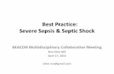 Best Practice: Severe Sepsis & Septic Shock