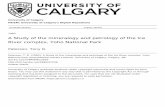 A Study of the mineralogy and petrology of the Ice River ...