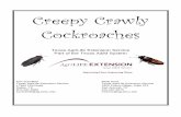 Creepy Crawly Cockroaches - Maine.gov