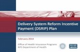Delivery System Reform Incentive Payment (DSRIP) Plan