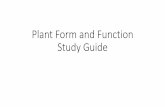 Plant Form and Function Study Guide
