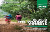 THE STATE OF THE WORLD’S FORESTS