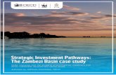 Strategic Investment Pathways: The Zambezi Basin case study