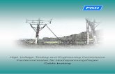 High Voltage Testing and Engineering Commission ...