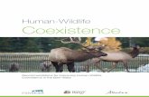 Human Wildlife Coexistence Bow Valley Report