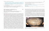 Microsporum audouinii: Re-Emergence of
