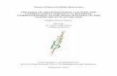 Theses of doctoral (PhD) dissertation THE ROLE OF ...