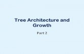 Tree Architecture and Growth - University of British Columbia