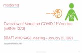 Overview of Moderna COVID-19 Vaccine (mRNA-1273) DRAFT