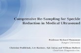 Compressive Re-Sampling for Speckle Reduction in Medical ...