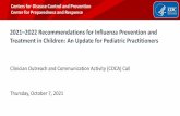 2021 2022 Recommendations for Influenza Prevention and ...