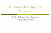 Business Intelligence Cursul 6 - ASE