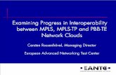 Examining Progress in Interoperability between MPLS, MPLS ...
