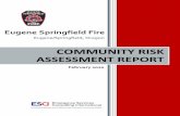 COMMUNITY RISK ASSESSMENT REPORT