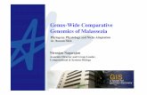 Genus-Wide Comparative Genomics of Malassezia