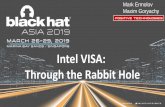 Intel VISA: Through the Rabbit Hole - Black Hat Briefings