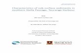 Characteristics of sub-surface sediments in southern ...