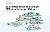 Sustainability: Thinking Big