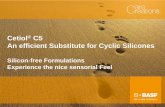 Cetiol C5 An efficient Substitute for Cyclic Silicones