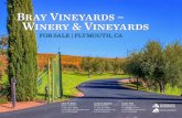Bray Vineyards – Winery & Vineyards