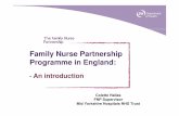 Family Nurse Partnership Programme in England
