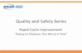 Quality and Safety Series