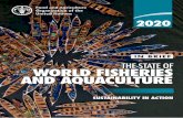 The State of World Fisheries and Aquaculture 2020. In brief