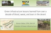 Green Infrastructure lessons learned from over a decade of ...