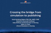 Crossing the bridge from simulation to publishing