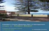 Pittwater’s Ocean Beaches Plan of Management Chapter 14 ...