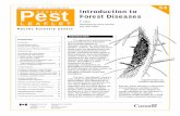 Pest FOREST Introduction to - Kootenai County, Idaho