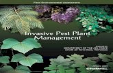 Invasive Pest Plant Management