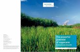Turning biomass into profit - Siemens Energy AG