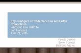Key Principles of Trademark Law and Unfair Competition