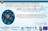 Introduction to EU-H2020 project WEARPLEX: Wearable ...