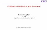 Cohesive Dynamics and Fracture - UiO