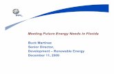 Meeting Future Energy Needs in Florida