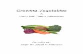 Growing Vegetables & UAE Cimate Info - palmdate.biz