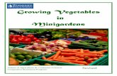 Growing Vegetables in Minigardens - Tennessee State University