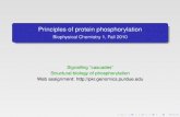 Principles of protein phosphorylation - Rutgers University