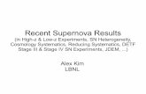 Recent Supernova Results -